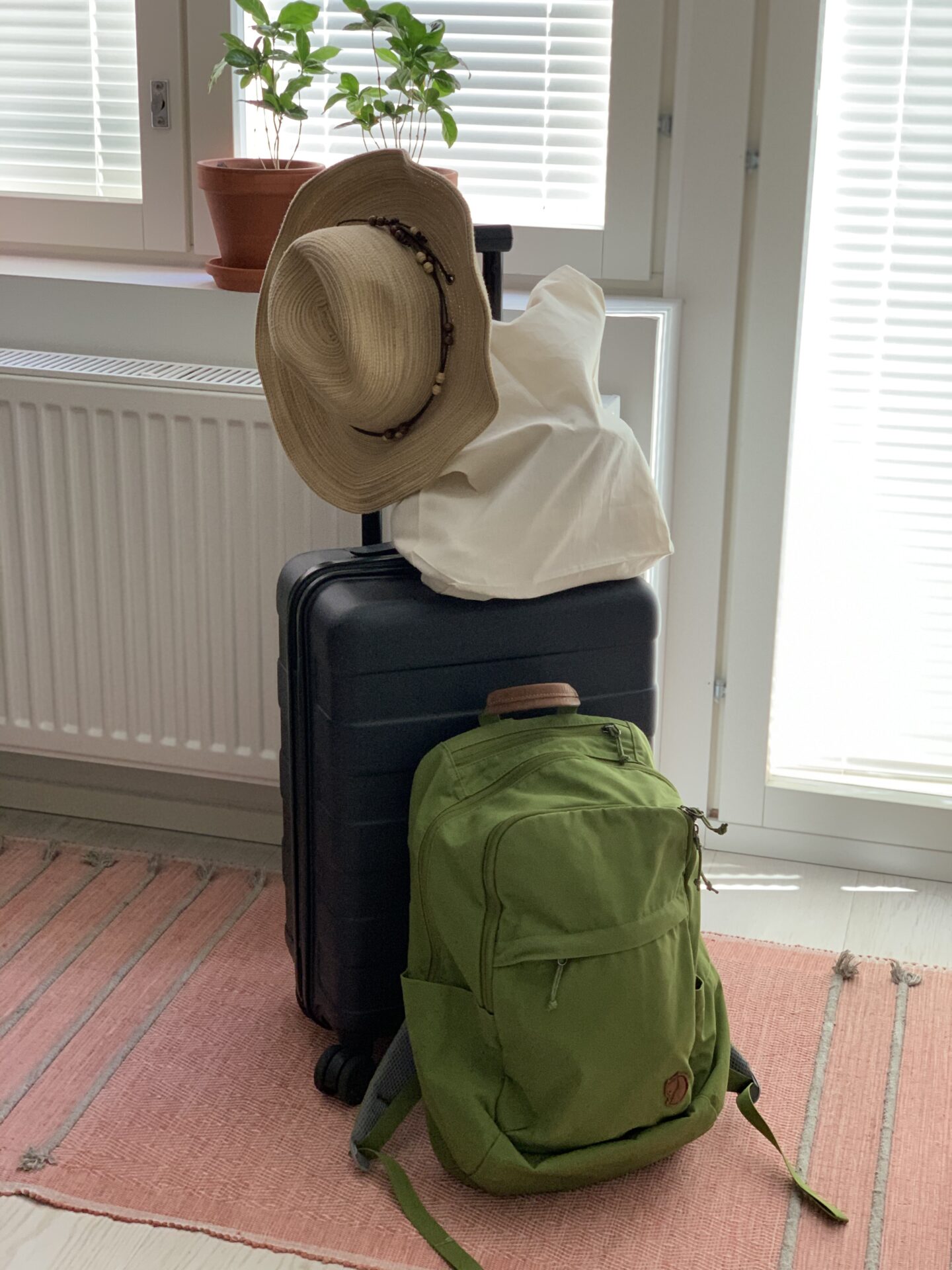 Road trip – Summer 2020 Day 1-1