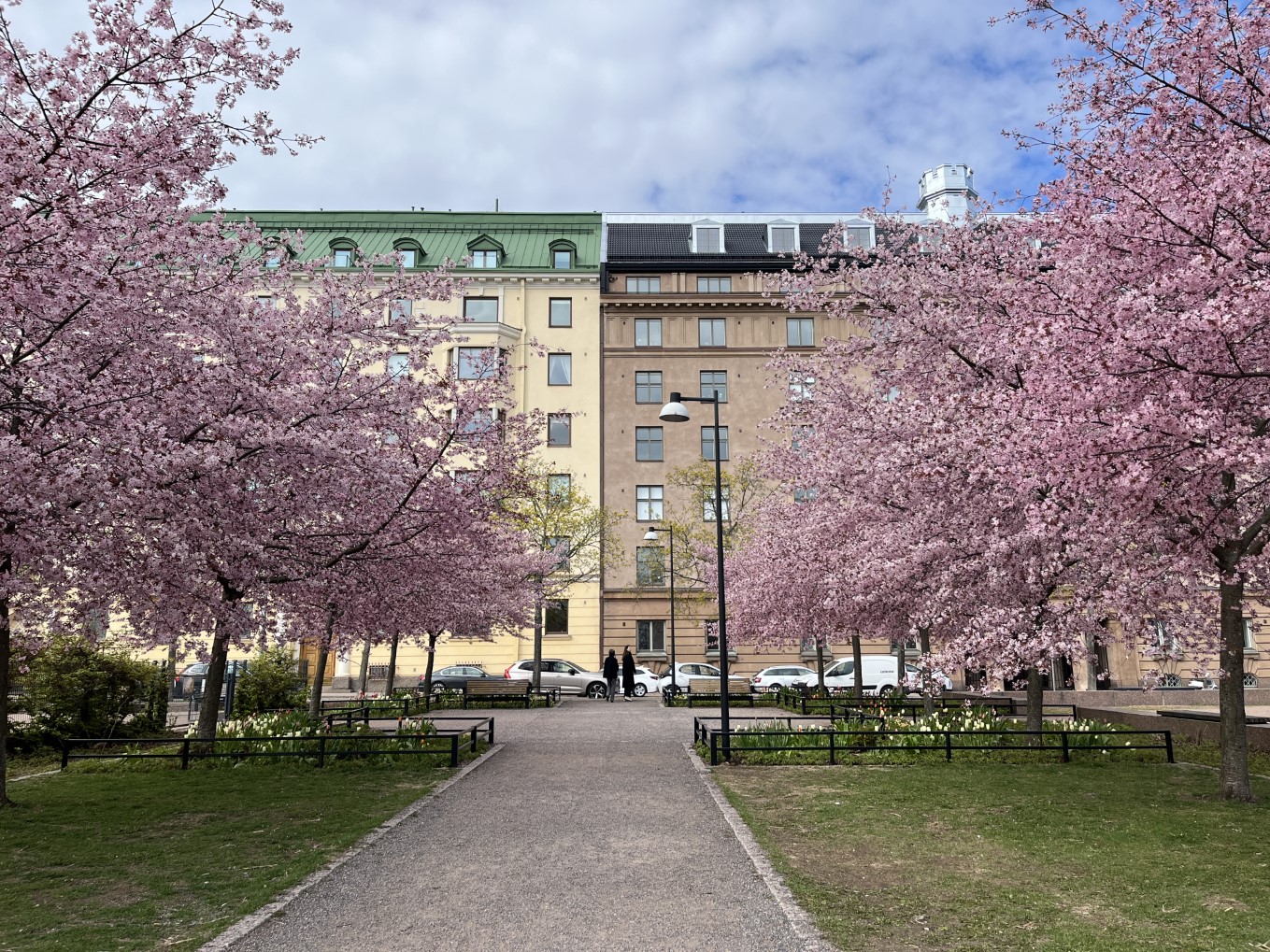 さくら sakura 2025 Helsinki（ヘルシンキ）